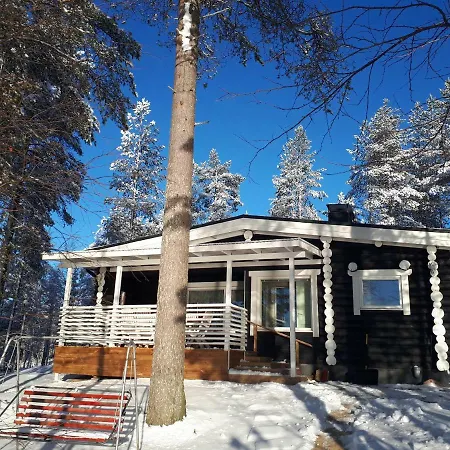 Villa Mantyniemi